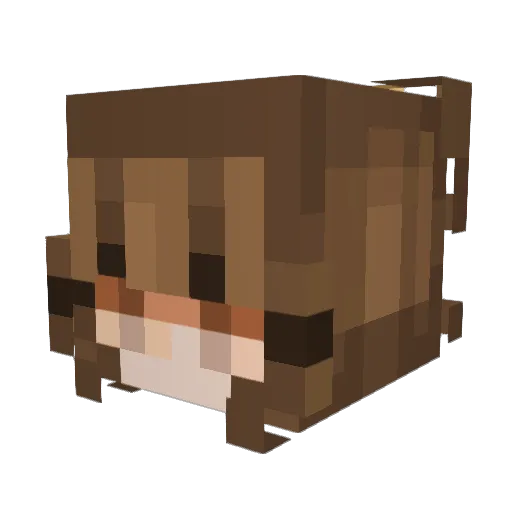 BBlinn Minecraft avatar head, 3D render
