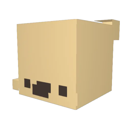 BBongGuu Minecraft avatar head, 3D render
