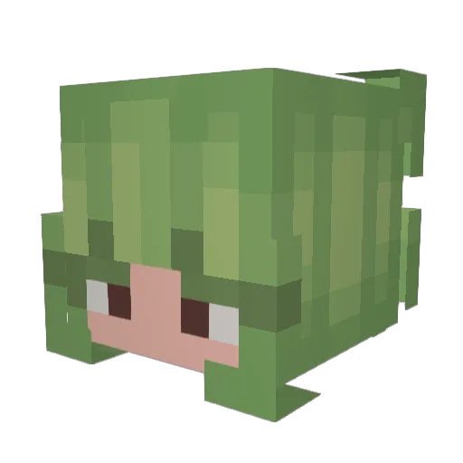 BBonnie_ Minecraft avatar head, 3D render
