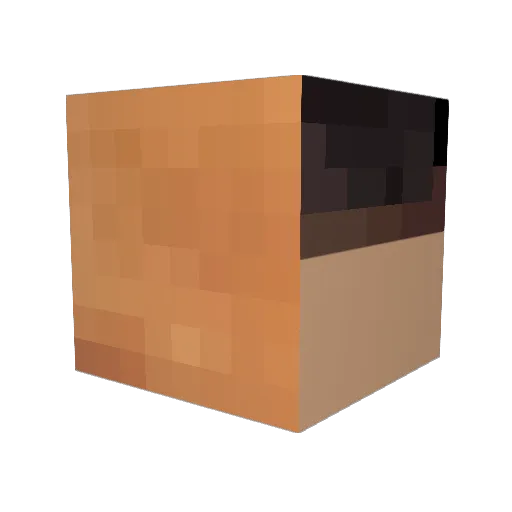 BCD3404 Minecraft avatar head, 3D render