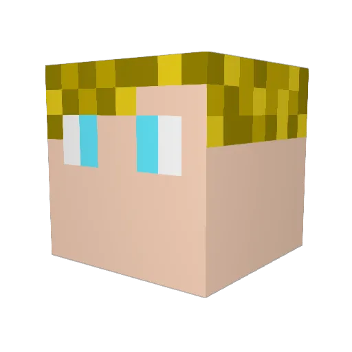 BCT_Roki Minecraft avatar head, 3D render