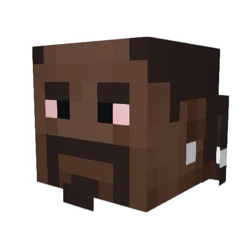BCxx Minecraft avatar head, 3D render