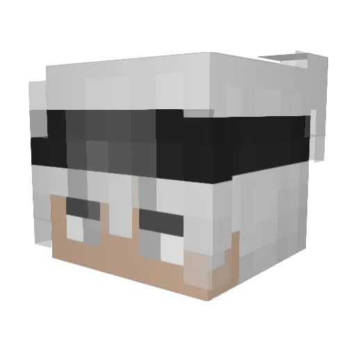 BDC_mistik76 Minecraft avatar head, 3D render