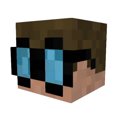 BDGDutchGuy Minecraft avatar head, 3D render
