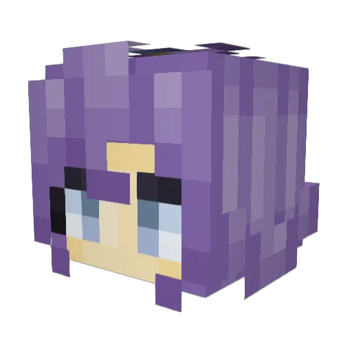 BDNAM Minecraft avatar head, 3D render