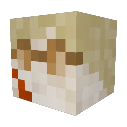 BDSteady Minecraft avatar head, 3D render