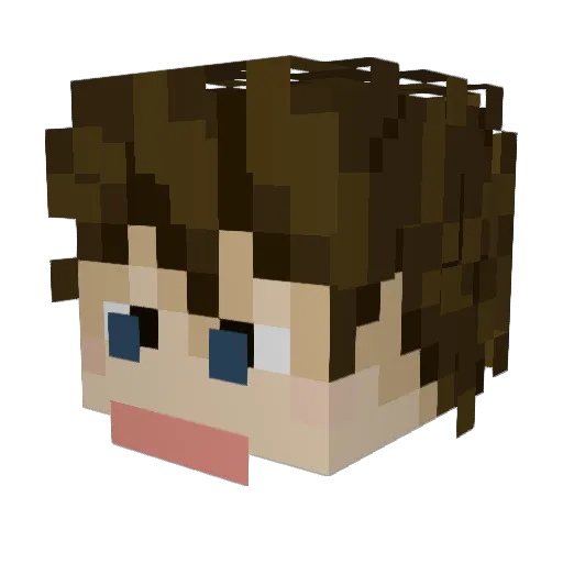 BDToole00 Minecraft avatar head, 3D render