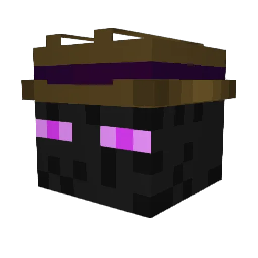 BDaBestMan1 Minecraft avatar head, 3D render