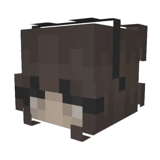 BDomiX Minecraft avatar head, 3D render