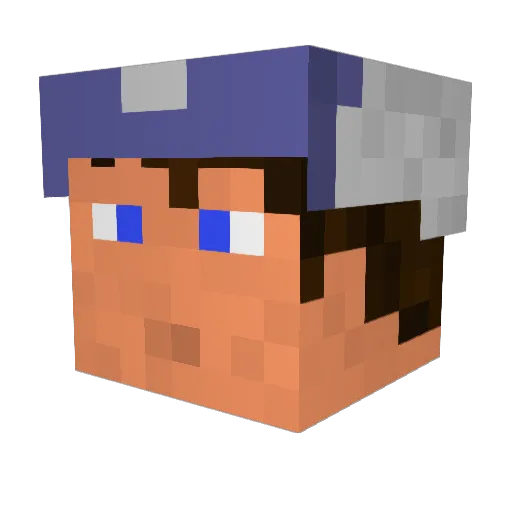 BEACHBOY115 Minecraft avatar head, 3D render