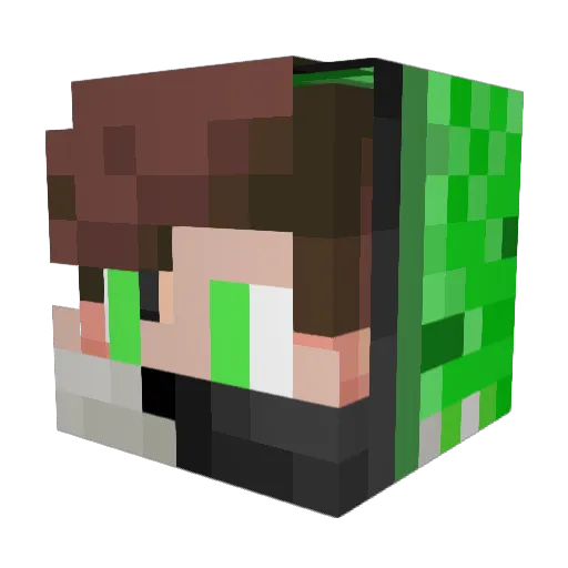 BEAM05 Minecraft avatar head, 3D render