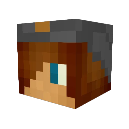BEANIE_BOY_ Minecraft avatar head, 3D render