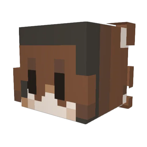 BEANS_BEANS_BEAN Minecraft avatar head, 3D render