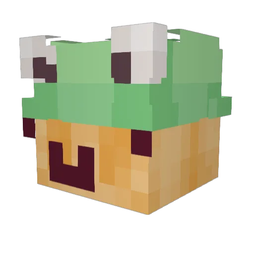 BECT1234 Minecraft avatar head, 3D render