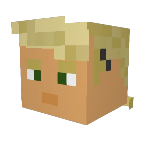 BEDWARSISTHEWRLD Minecraft avatar head, 3D render