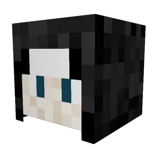 BEE1008 Minecraft avatar head, 3D render