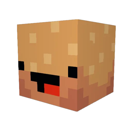 BEECHSURGER Minecraft avatar head, 3D render