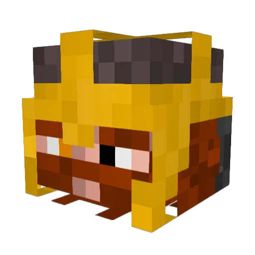 BEEFCAKEJOE420 Minecraft avatar head, 3D render