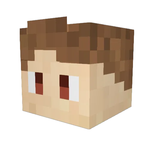 BEENAAA Minecraft avatar head, 3D render