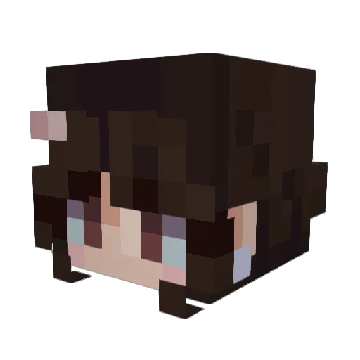 BEEVIL_ Minecraft avatar head, 3D render