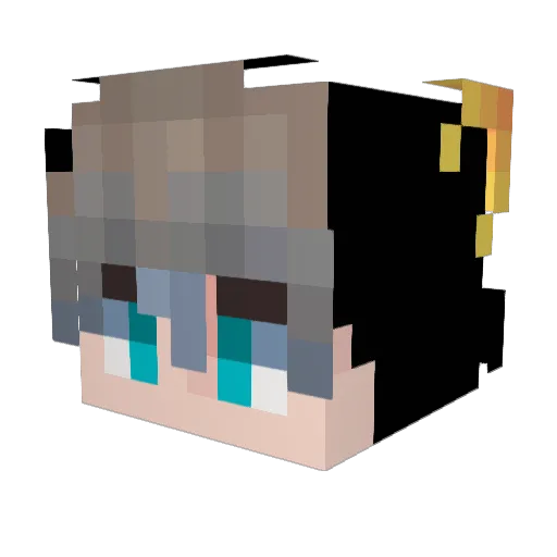 BEEzzzzzz Minecraft avatar head, 3D render