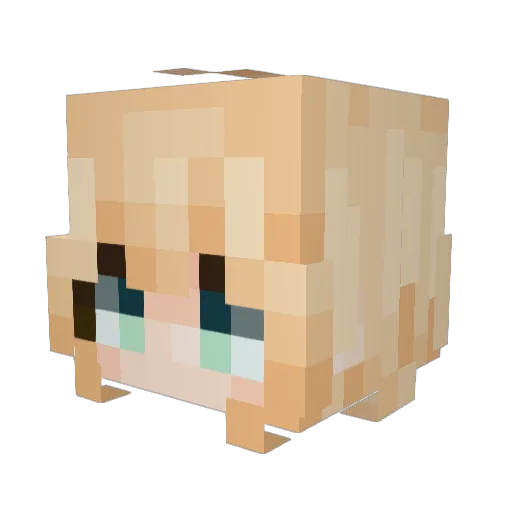 BEGAk Minecraft avatar head, 3D render