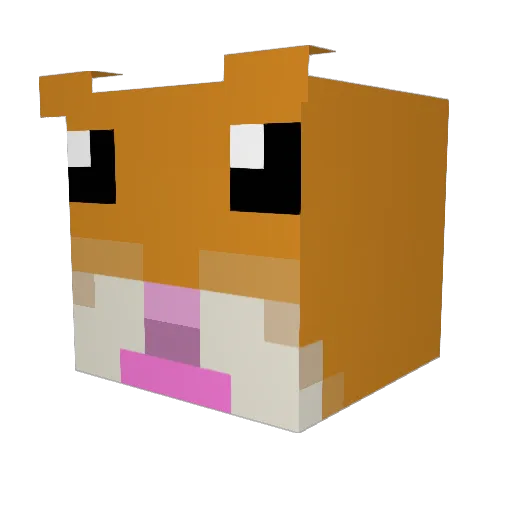 BEG_Schumann Minecraft avatar head, 3D render