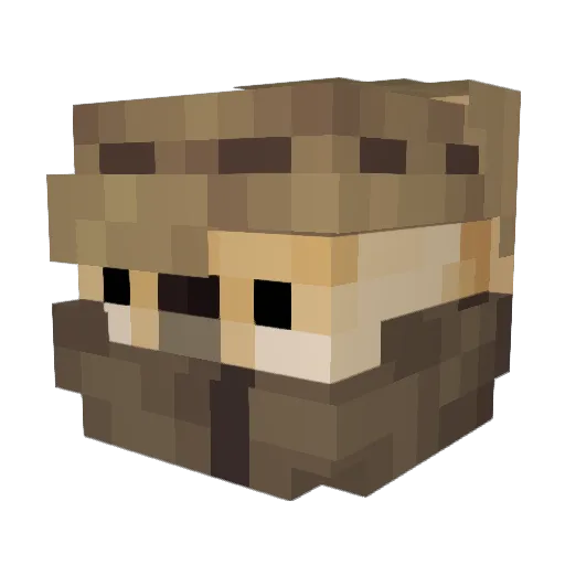 BEKDC Minecraft avatar head, 3D render