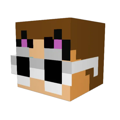 BESPBOOP Minecraft avatar head, 3D render