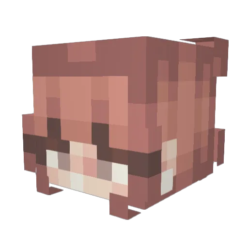 BESTIESGREMLIN Minecraft avatar head, 3D render