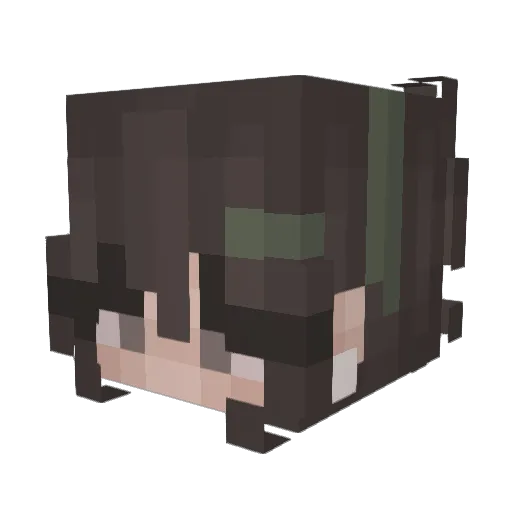 BESTOFALL1 Minecraft avatar head, 3D render