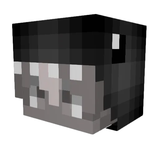 BETTELG Minecraft avatar head, 3D render