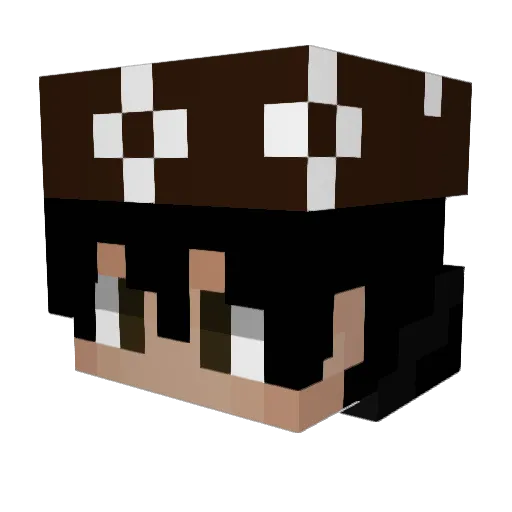 BEVHS Minecraft avatar head, 3D render