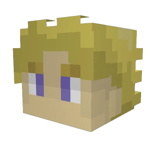 BE_ON_SUN Minecraft avatar head, 3D render