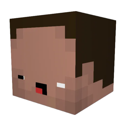 BFC_MiG Minecraft avatar head, 3D render