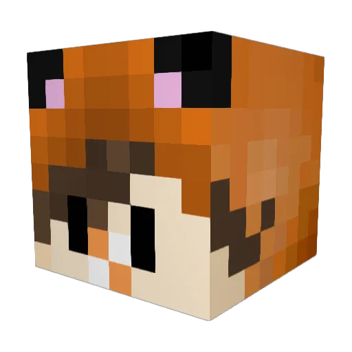 BFoxGamer Minecraft avatar head, 3D render