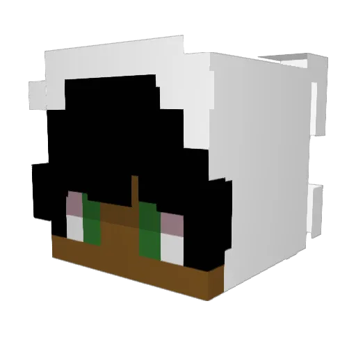 BFrance_ Minecraft avatar head, 3D render