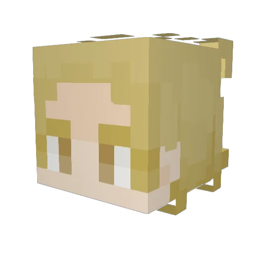 BFreeman2 Minecraft avatar head, 3D render