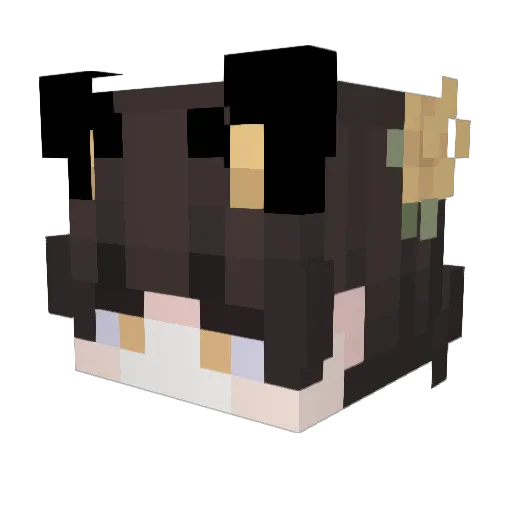 BG_hang Minecraft avatar head, 3D render