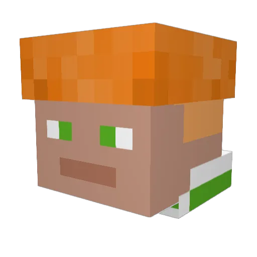 BHMan1ac Minecraft avatar head, 3D render
