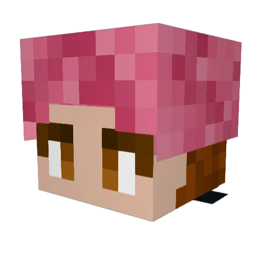 BHShothavok Minecraft avatar head, 3D render