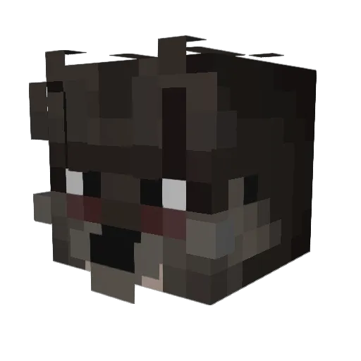 BHinthehouse Minecraft avatar head, 3D render