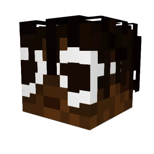 BHoppyyy Minecraft avatar head, 3D render