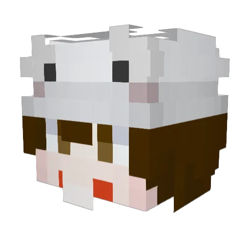 BHwhitet Minecraft avatar head, 3D render