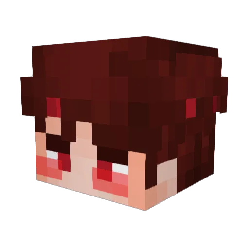 BIEF_ Minecraft avatar head, 3D render