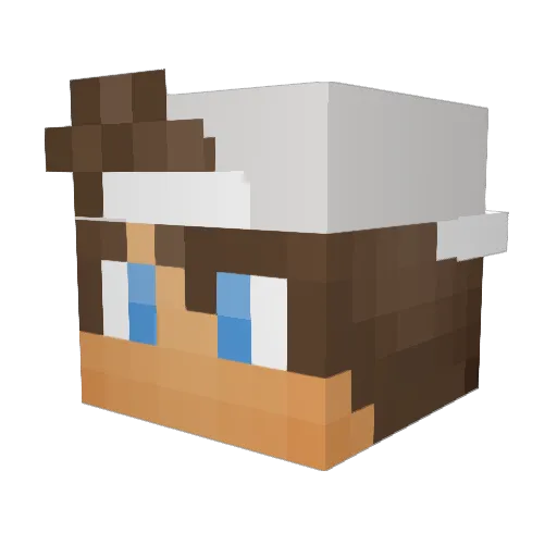 BIEL27_GAMER Minecraft avatar head, 3D render
