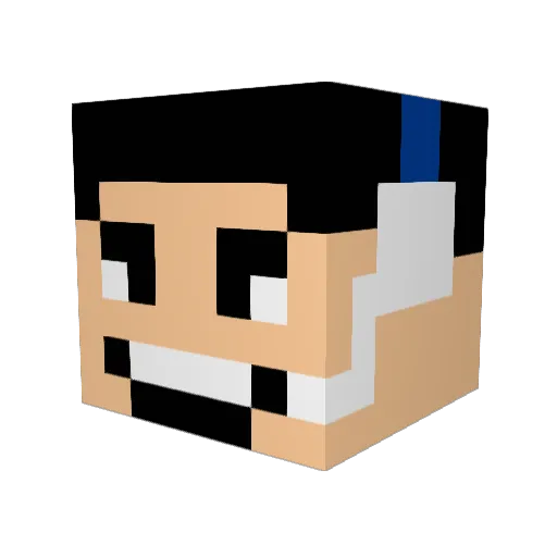 BIGDAN44 Minecraft avatar head, 3D render