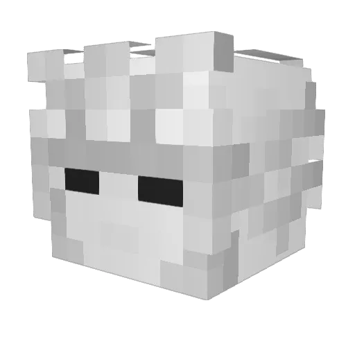 BIGDILFAXEL Minecraft avatar head, 3D render