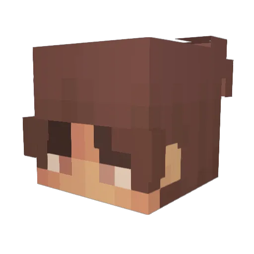 BIGHOGAbusify Minecraft avatar head, 3D render