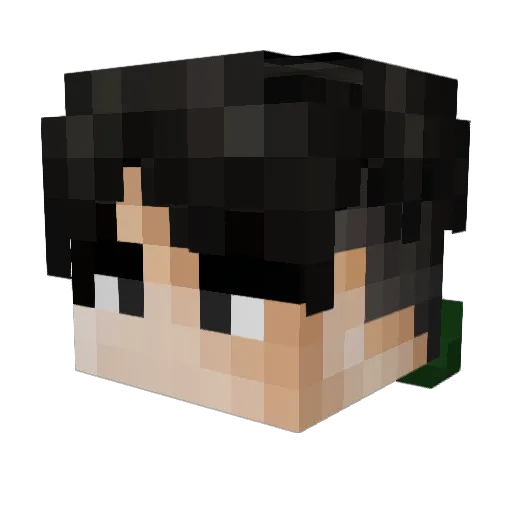 BIGMANJAPAN2 Minecraft avatar head, 3D render